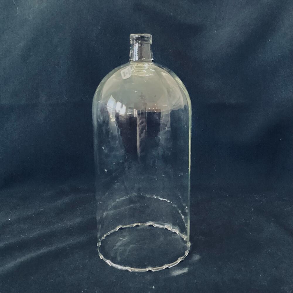 Glass Cloche Dome w/ Knob Centerpiece Display Terrarium